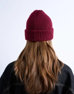 Bonnet