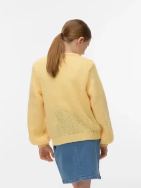 Cardigan en tricot Vmwilo