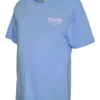 T-shirt de maternité
